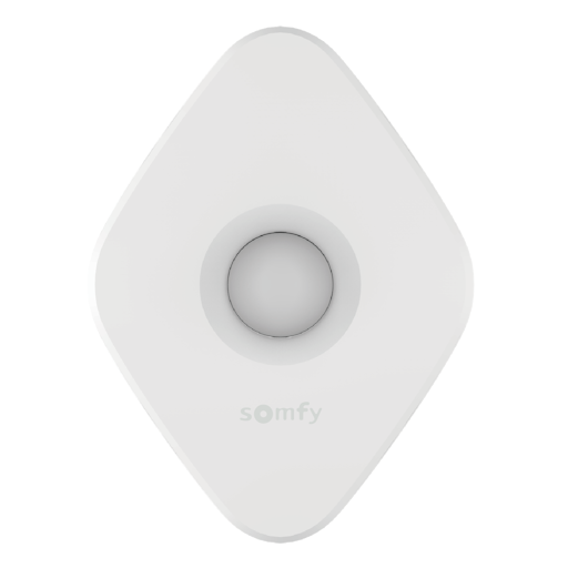 SOMFY 1811681